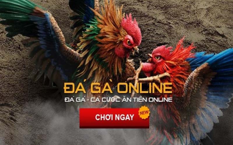 Đá gà online tại SV388
