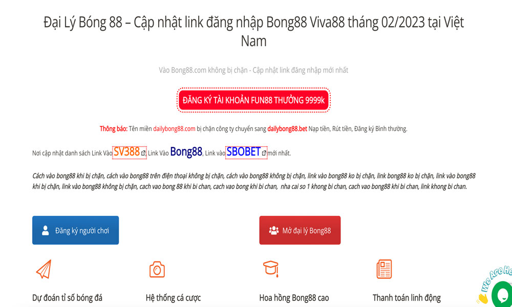 Website-Dailybong88