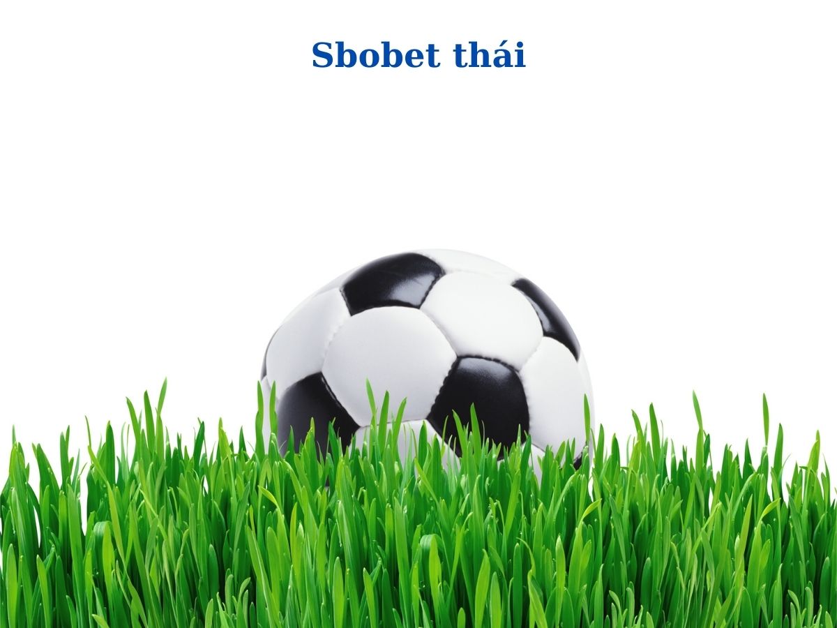 Sbobethai.me nơi cung cấp link vào Sbobet chính chủ